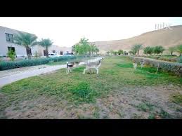 التوبة طريق الوصول إلى رحمة الله حسام العيسوي إبراهيم. Ø®Ø§Ù„Ø¯ Ø§Ù„Ø´Ø«Ø±ÙŠ ÙŠØªØ­Ø¯Ø« Ø¹Ù† Ø³ÙˆÙ‚ Ø§Ù„Ø£Ø³Ù‡Ù… Ø³ÙˆÙ‚Ù†Ø§ Ù„Ø§ Ø²Ø§Ù„ Ø³ÙˆÙ‚ Ø£ÙØ±Ø§Ø¯ ÙÙ‡Ùˆ ÙŠØ¹ØªÙ…Ø¯ Ø¹Ù„Ù‰ Ø§Ù„ØªÙˆØµÙŠØ§Øª Youtube