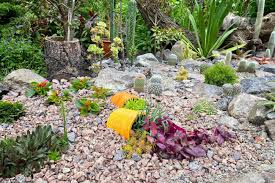 Painting garden stones is an easy way to liven up your yard and garden or even incorporate outside elements into your inner decor. Rockery In The Garden With Stones And Variety Of Different Flowers And Plants Landscape Design Of The Garden With Cactus Pots Plants And Stones Stock Photo Picture And Royalty Free Image Image