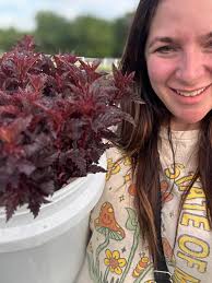 Buttercup is SOLD OUT of flowers for Sunday! We still have potted garden  roses and candles!