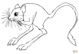 Desert Rodent Jerboa Coloring Page Free Printable Coloring Pages Animal Coloring Pages Desert Animals Coloring Coloring Pages