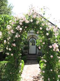 Carmel Interior Designer Silicon Valley Interior Designer Asid Rose Arbor Climbing Roses Beautiful Roses
