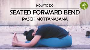 How To Do Seated Forward Bend Or Paschimottanasana The Yoga Mile Youtube