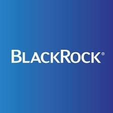 Blackrock Team The Org