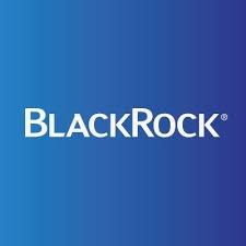 blackrock team the org