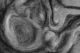 Abstract Abstractions Abstracts Black And White Patterns Shapes Textures Tree Tr Abstract Nature Amazing Nature Beautiful Places Wallpaper