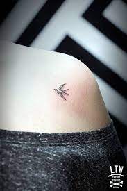 40 Tiny Bird Tattoo Ideas To Admire Bored Art Small Bird Tattoos Bird Shoulder Tattoos Birds Tattoo