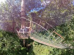 Also check with the office on the morning itself whether the canopy walk is open. Taman Negara Nationalpark Der Alteste Regenwald In Malaysia