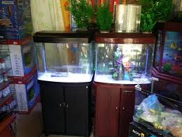 We are providing both online and physical presence with its store delivering quality aquarium products and livestock. Hr3 580 Led Rs 17500 Isuru Aquarium Aluthgama Facebook