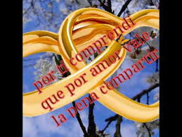 Cancion Para Mi Esposo Te Amo Song For My Husband I Love You Youtube