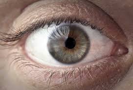 In people with atopic contact dermatitis, symptoms can result from an allergy. Eyelid Dermatitis Eczema On Eyelids Dr Eddie S Happy Cappy