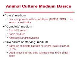 Animal cell culture media components. Ppt Plant And Mammalian Tissue Culture Powerpoint Presentation Free Download Id 6738779