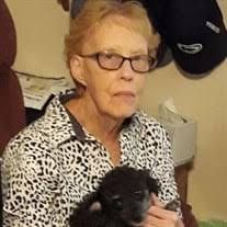 Mary Alice Sundquist Obituary (2024)