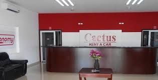 Why use airport rentals car hire? Cactus Rent A Car