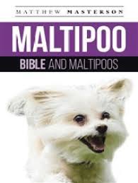 Occasionally, we have maltese puppies for sale too. Read Maltipoo Bible And Maltipoos Online By Matthew Masterson Books