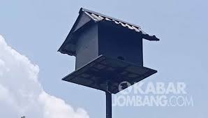 Buatlah gambar oval memanjang di bagian bawah burung hantu anda, tiga oval di setiap sisinya, kemudian buatlah dua garis horizontal. Pengrajin Pagupon Mojoagung Sebut Pengadaan Rubuha Disperta Jombang Banyak Untung Kabar Jombang