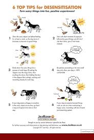 How To Train A Dog To Stay In His Own Yard And Pics Of How To Train Your Dog To Run With Your Bike Tip 7811062 Dog Training Puppy Classes Puppy Training