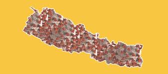 Reason To Worry Silent Spread Of Covid 19 Infection In Nepal Myrepublica The New York Times Partner Latest News Of Nepal In English Latest News Articles