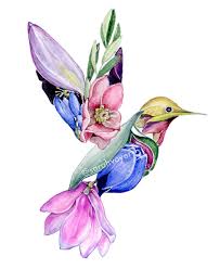 Birds Of Prey Flower Tattoo Magnolia Bird Print 8 X 10 Sarah Voyer In 2020 Hummingbird Tattoo Watercolor Drawings Hummingbird Art