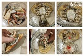 Buey de mar cocido•huevo cocido•cangrejo•mayonesa•dedos de vino blanco (según lo fuerte que. La Cocina De Rebeca Buey De Mar Relleno Y Como Cocerlo Y Limpiarlo