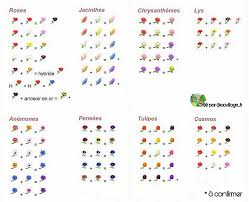 Epingle Par Adele Aee Sur Acnh En 2021 Fleurs Hybrides Animaux Fleurs Hybrides Acnl