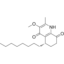 Image result for Antidesma membranaceum