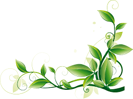 On a reasonably pleasant day . Borders With Leaves Border Design With Green Leaves On Wooden Wall Download