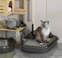 Low Entry Litter Box