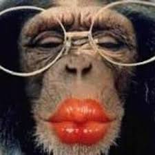 The monkey is the funnies, guess the right color of lipstick along with elly to her. Stream Monkey Lipstick Music Listen To Songs Albums Playlists For Free On Soundcloud