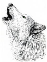Its one of the many animals i've been goin over how to draw. Orasnap Cool Drawings Of Wolves Howling