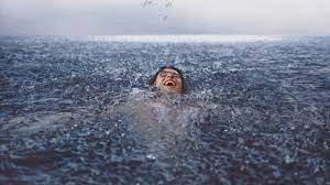 Thriftbooks.com has been visited by 100k+ users in the past month Shawn Mendes Exo S Kai And The Weeknd Best New Music Friday Teen Vogue