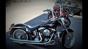 Image result for Vivid Black 1994 FLSTF