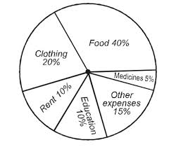 pie chart easy questions and answers page 1