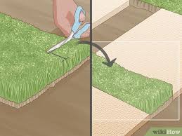This plant is especially well suited in the creation of a miniature garden or fairy garden. How To Grow Grass Between Pavers 12 Steps With Pictures