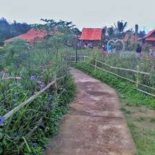 Lurus saja melewati jembatan panukan, lalu setelah itu belok kiri. Kampung Flory Wisata Nuansa Pedesaan Selangkah Dari Kota