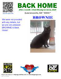 Backhome We Are So Happy Brownie Is Back Home After 1 Month Welcome Home Brownie Lost Cat Lawrenceville Ga Jul 11 20 Lost Cat Cats Short Hair Brown