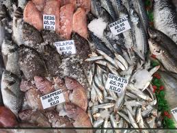 Fishmongers synonyms, fishmongers pronunciation, fishmongers translation, english dictionary definition of fishmongers. K Ashleigh Fishmonger Friday Saturday Regular Traders
