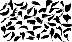 Bird In Hand Market Hours Wings Silhouette Angel Art Bird Eagle Hand Drawn Line Nature Sky Wing Silhouette Vector Silhouette Clip Art Free Vector Art