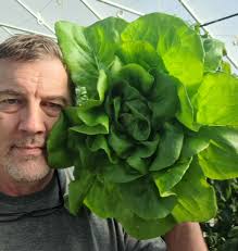 What are alternative methods for cutting weed mat?