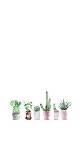 Words aesthetic minimalist wall art pretty words room pictures movie poster wall trippy wallpaper picture wall wall collage. Download Wallpaper Aesthetic Cactus Cikimm Com
