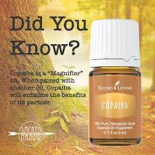 Pin On Essential Oil Info