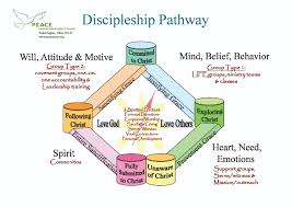 Intentional Discipleship Systems Seeallthepeople Resources
