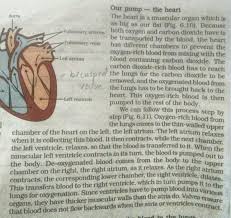 Home Work Class 10 April 1 Blood Circulation In Fishes Is Different From The Blood Circulation In Brainly In