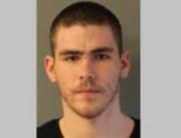 Upstate NY man gets 8-month sentence for killing sister's dog that urinated  indoors