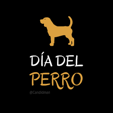 50 mil caninos estarían sin hogar en santa marta. 10 Ideas De Dia Del Perro Dia Del Perro Perros Frases Mama De Perro