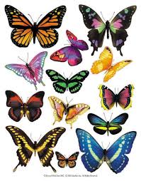 This high quality transparent png images is totally free on pngkit. Unduh Gambar Lukisan Bunga Dan Rama Rama Pics Phone Tips