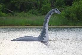 Maybe you would like to learn more about one of these? Retrouve En Antarctique Le Vrai Monstre Du Loch Ness Un Fossile Vieux De 70 Millions D Annees Aux Dimensions Demesurees Curioctopus Fr