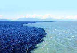 We did not find results for: Cac Ä'áº¡i DÆ°Æ¡ng Tren Tháº¿ Giá»›i Ä'áº¡i DÆ°Æ¡ng Nao Co Diá»‡n Tich Lá»›n Nháº¥t