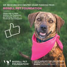 We want you to get creative, get funny and submit your catchy spay neuter slogans (like the one below). Sumner Spay Neuter Alliance Posts Facebook