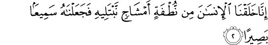 10) yakni kedua puting susu. Surat Al Insan 76 1 10 The Noble Qur An Ø§Ù„Ù‚Ø±Ø¢Ù† Ø§Ù„ÙƒØ±ÙŠÙ…