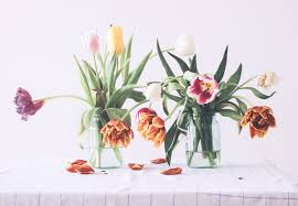 We did not find results for: How To Stop Tulips Drooping Tulips In A Vase Tulip Flower